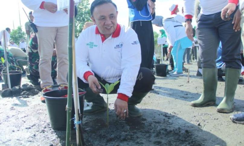 Sekda Provinsi Bengkulu, Nopian Andusti bersama Dinas LHK menanam bibit pohon mangrove di kawasan TWA pantai panjang-pulau baai lentera merah, sumber jaya kota Bengkulu, Senin(9/7).