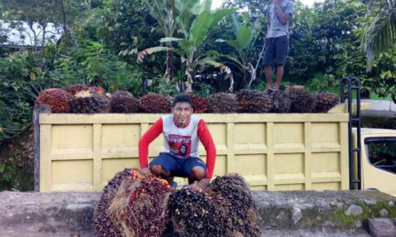 Sawit Mukomuko