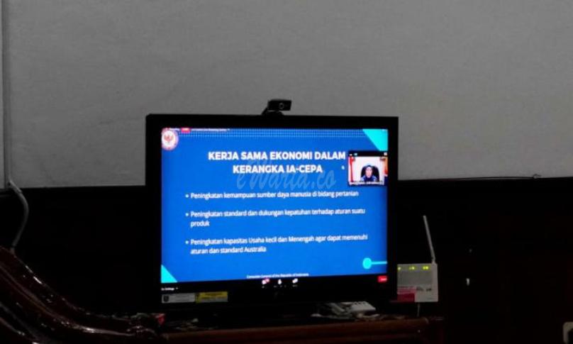webinar Indonesia -  Australia Business Forum. 