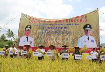 Gubernur Bengkulu hadiri panen raya di Desa Kayu Elang Kabupaten Seluma