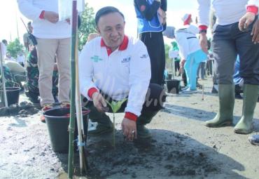 Sekda Provinsi Bengkulu, Nopian Andusti bersama Dinas LHK menanam bibit pohon mangrove di kawasan TWA pantai panjang-pulau baai lentera merah, sumber jaya kota Bengkulu, Senin(9/7).