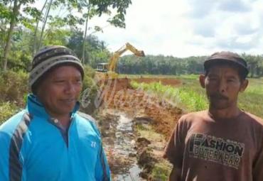 Kelompok Tani Gading Makmur Kabupaten Mukomuko.