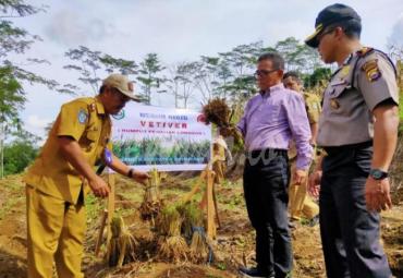 Bersama BPBD, Bupati Kepahiang tanam rumput penahan longsor (Vetiver).