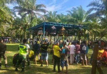 Lomba Kicau Mania.