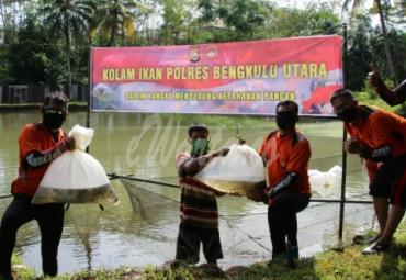 Pelepasan bibit ikan emas dan nila.