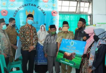 penyerahan sapi gubernur
