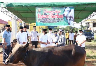 Sapi kurban Polda Bengkulu