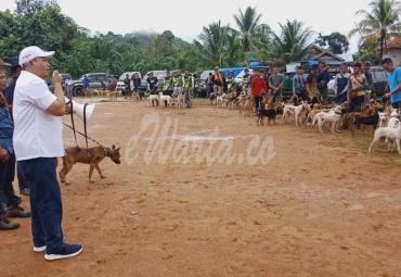 Bakal Calon Bupati Erwin Octavian, membuka giat berburu masal