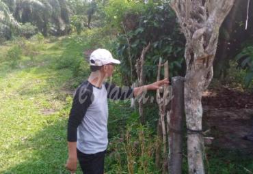 Kades Serian Bandung saat menunjukan patok batas wilayah