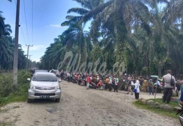 Lahan PT Agri Andalas Diklaim Sebagai Lahan HKTI