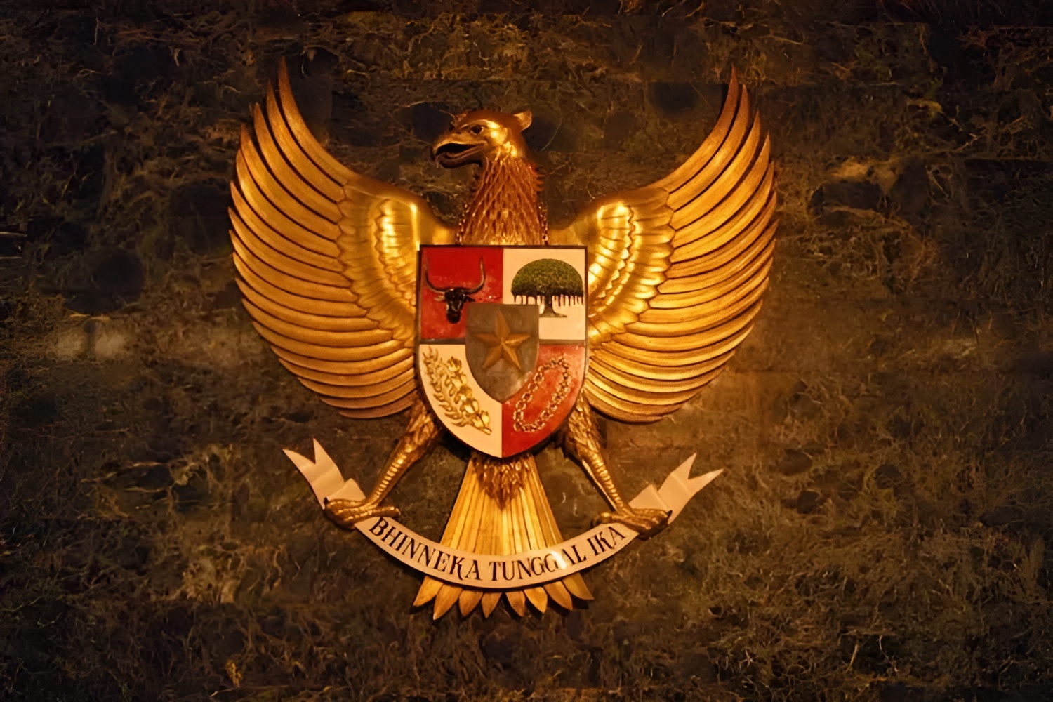 Dprd