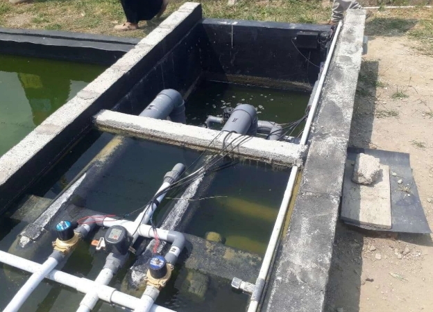 Gus Halim Resmikan Kolam Koi Berbasis Internet di Blitar