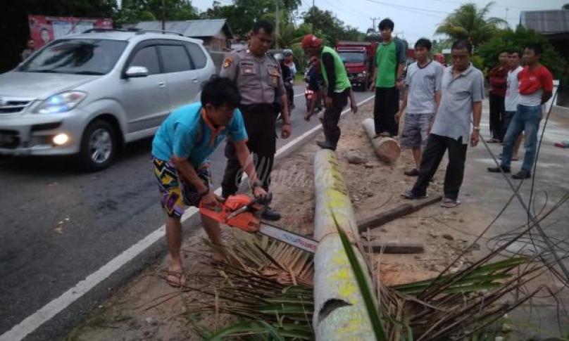 Petugas di bantu Warga bergotong royong mengevakuasi pohon tumbang 