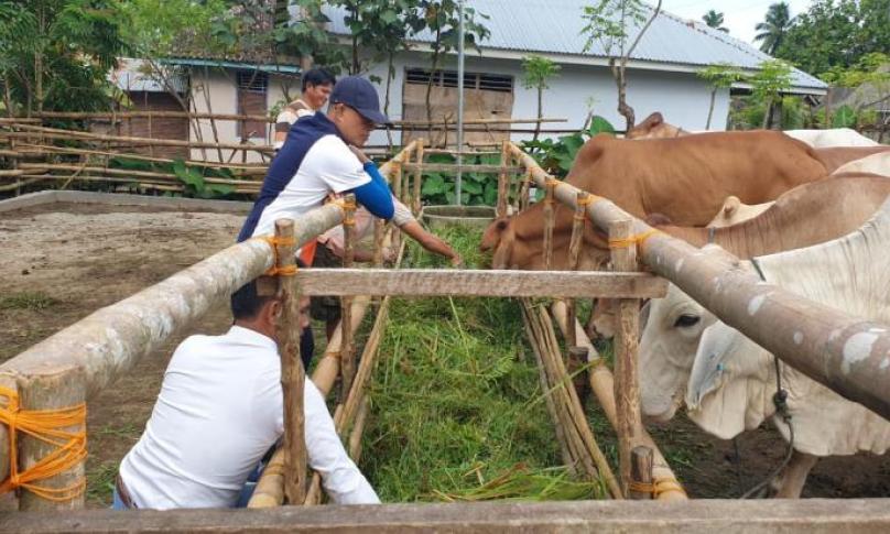 Peternakan Sapi Mitra Mandiri