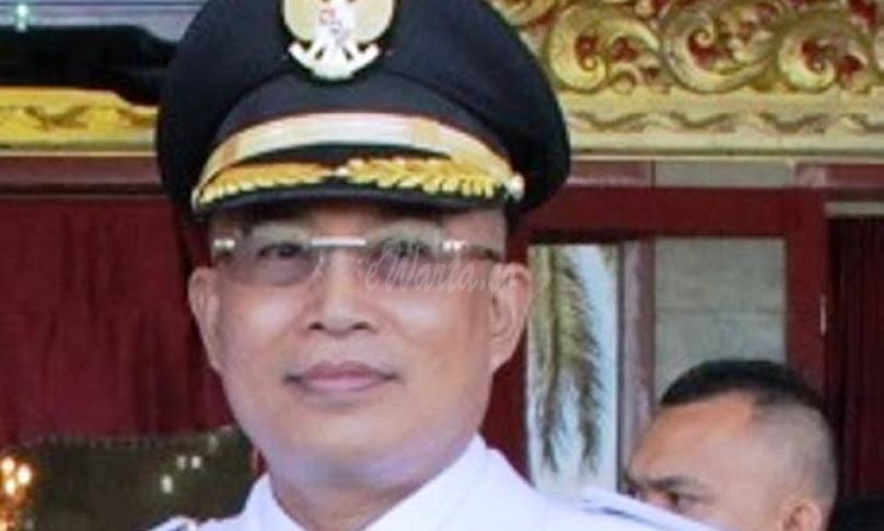 Gusnan Mulyadi Plt Bupati Bengkulu Selatan 