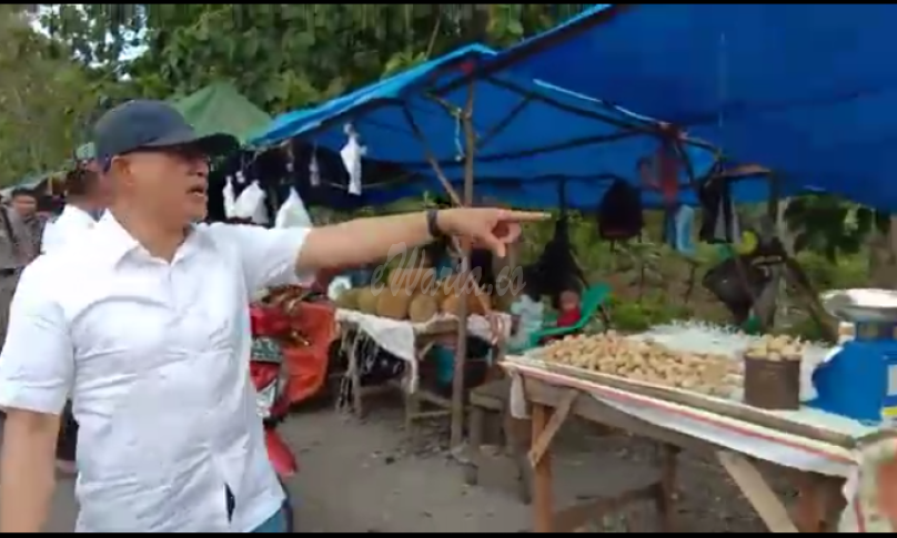 Plt Bupati Bengkulu Selatan sidak pedagang buah