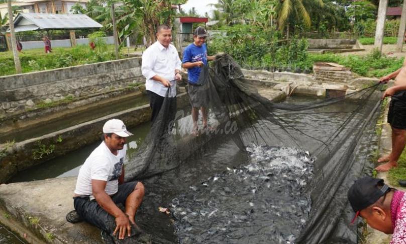 Kepala Dinas Kelautan dan Perikanan Bengkulu Selatan (Novianto, M. Si) mengunjungi salah satu pembudidaya ikan patin