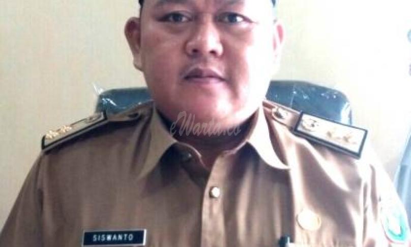 Ka DPMD Bengkulu Selatan (Siswanto, M. Si)