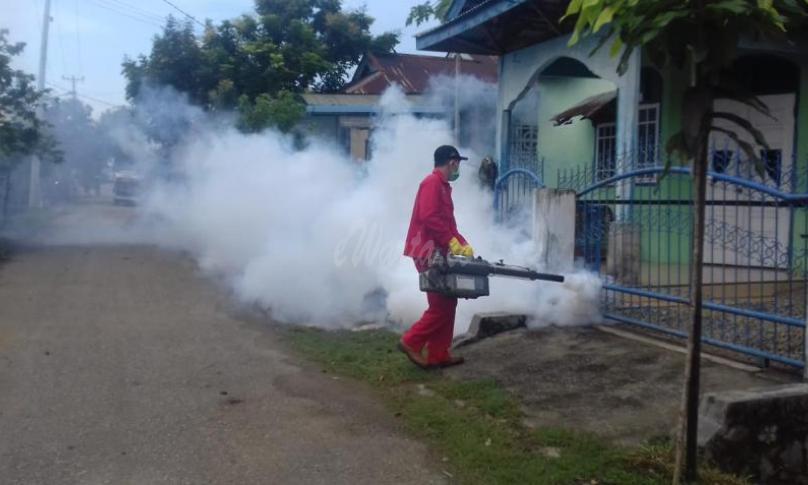 Pelaksanaan fogging