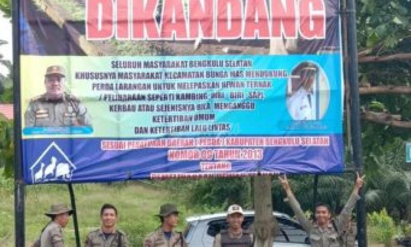 Foto ilustrasi