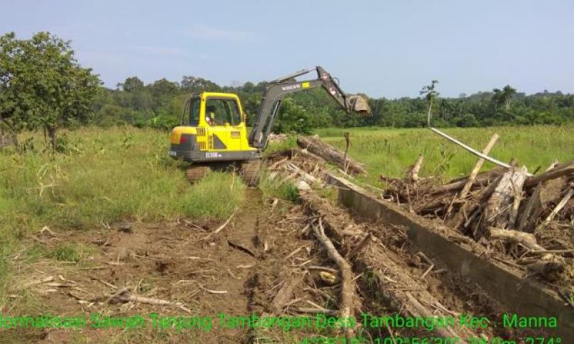 Dinas Pertanian Bengkulu Selatan mulai lakukan normalisasi sawah