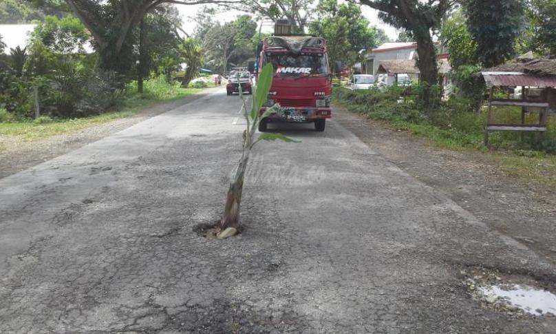 Jalan berlubang, sering akibatkan kecelakaan warga tanami batang pisang