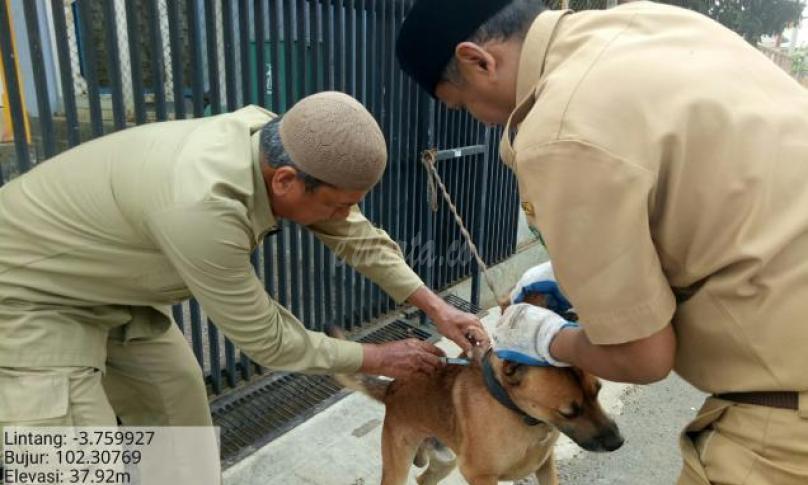 Pencegahan penyebaran rabies, Pemkot lakukan vaksinasi ratusan hewan peliharaan