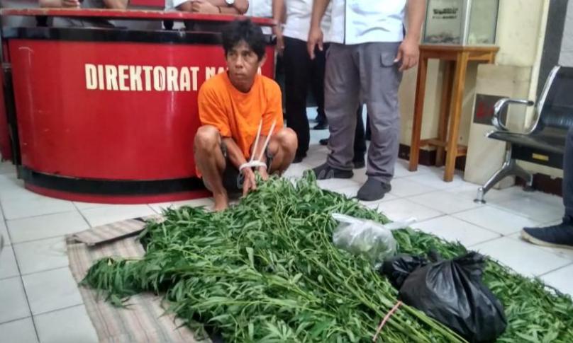 SH, warga Lingkar Barat Kota Bengkulu langsung dihadiahi baju oranye dari Ditresnarkoba Polda Bengkulu.