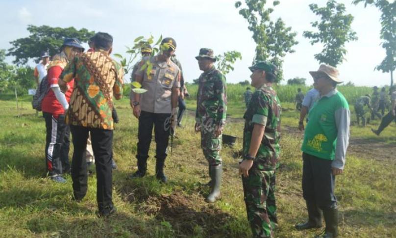 Penanaman pohon hijau dan buah di area lapangan tembak Sirwendo.