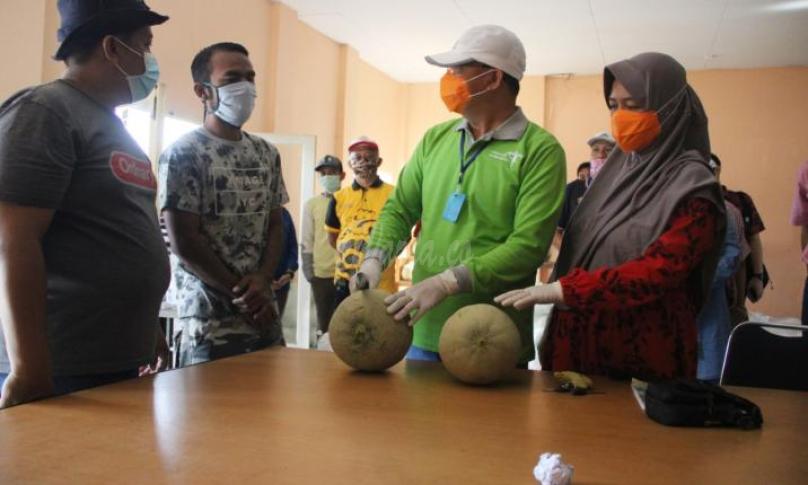 Gubernur Bengkulu memborong langsung 1,3 ton buah melon di sekretariat Kaba Hill Kota Bengkulu pada Ahad (19/04).