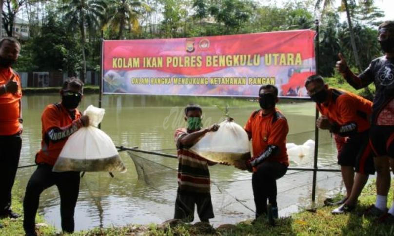 Pelepasan bibit ikan emas dan nila.