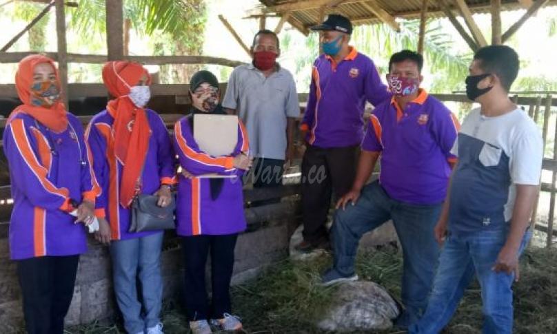 Pemeriksaan Kesehatan Kurban