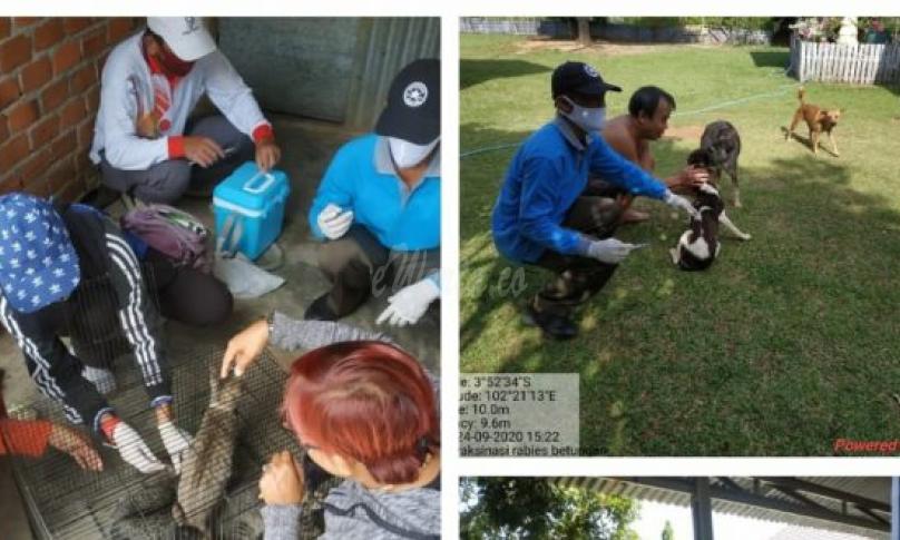 Vaksin Rabies pada hewan peliharaan