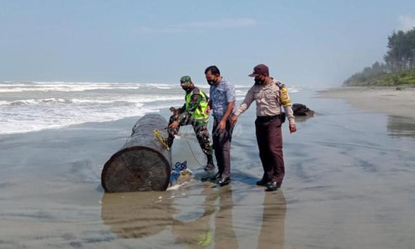Kayu yang menghimpit korban