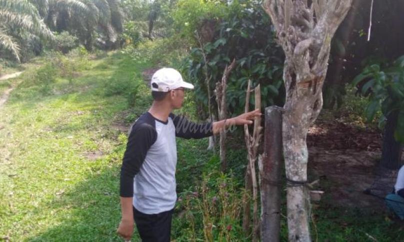 Kades Serian Bandung saat menunjukan patok batas wilayah