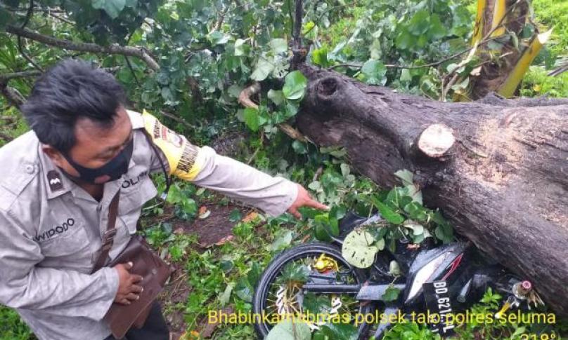 Sepeda motor korban yang masih terjepit di bawah pohon