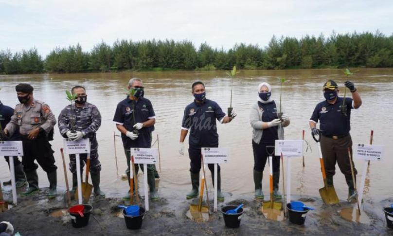 Gerakan penanaman mangrove di kawasan Muara Sungai Air Bengkulu, Senin (11/11/2020).