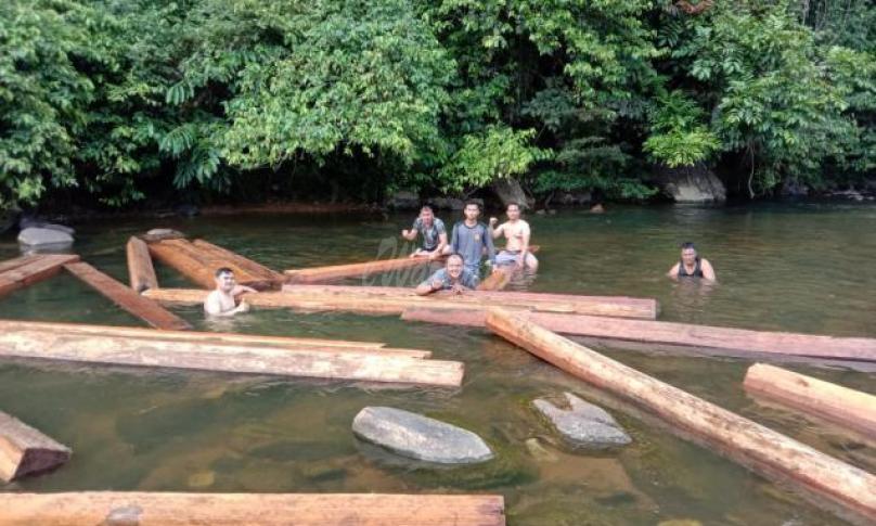 Polsek Mukomuko Selatan Amankan Kayu Hasil Illegal Loging