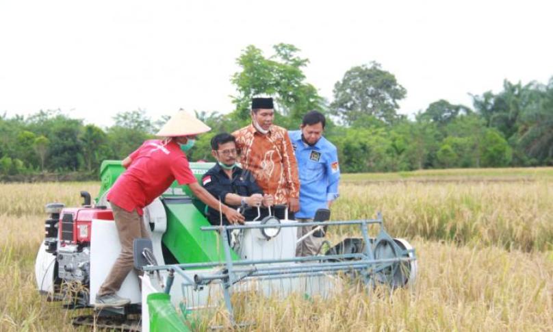 Menteri Pertanian RI Syahrul Yasin Limpo saat melakukan Panen Padi Bersama Menteri di Desa Padang Merbau Kec. Seluma Selatan, Kamis (3/12/20).