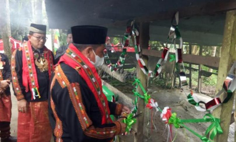 Kemenag Aceh Tenggara Kembangkan Wakaf Produktif Penggemukan Sapi