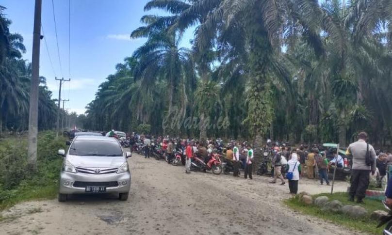 Lahan PT Agri Andalas Diklaim Sebagai Lahan HKTI