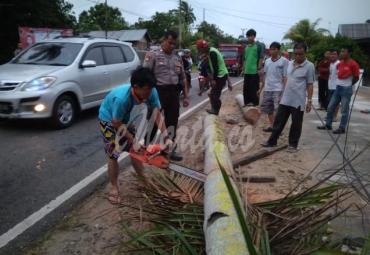 Petugas di bantu Warga bergotong royong mengevakuasi pohon tumbang 