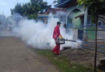 Pelaksanaan fogging