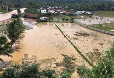 Kondisi terkini banjir masih merendam rumah warga dan persawahan