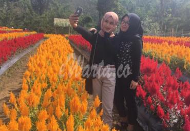 Salah satu pengunjung taman bunga khas Eropa, selalu berselfi ria