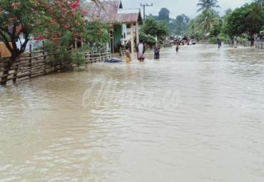 Banjir akibatkan ratusan rumah warga terendam dan puluhan hewan ternak mati, Seluma, Bengkulu