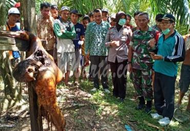 Temuan mayat wanita tanpa busana dan identitas masih misterius dan penyelidikan Polres Bengkulu Selatan