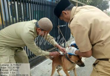 Pencegahan penyebaran rabies, Pemkot lakukan vaksinasi ratusan hewan peliharaan