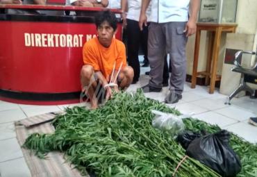 SH, warga Lingkar Barat Kota Bengkulu langsung dihadiahi baju oranye dari Ditresnarkoba Polda Bengkulu.