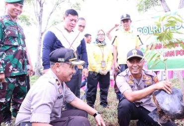 Penanaman pohon hijau